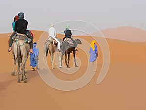 Group of tourist on camels photo