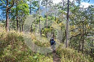 Group of tourist walking in Chiang Dao wildlife reserve area in Chiang Mai province of Thailand.