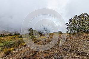 A group of tourists in the Andes Mountains on a cloudy day, Ecuador