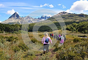Group of tourists explore the unique peat bogs of Tierra Del Fuego National Park