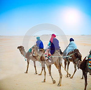 Group of tourists going for a desert camel safari. Sahara landscape