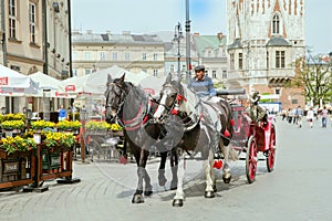 The group of tourists have excurtion on horses cart in historical part of Krakow