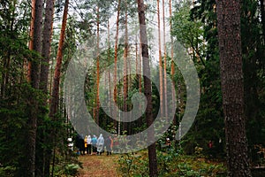 Group of tourists on hike in mountains. Mass tourism in dense forest. Travel concept.