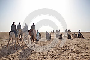 Group of tourists riding camels, Sahara