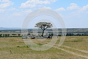 A group of tourists in Savannah Grassland in Masai Mara, Kenya