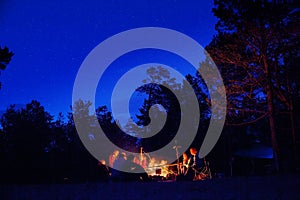 A group of tourists sitting around the campfire at night.