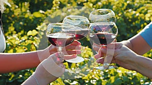 A group of tourists tasting wine near the vineyard. Together clink glasses, close-up