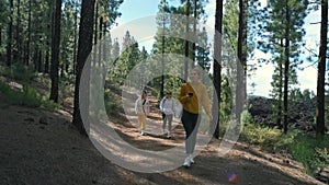A group of tourists walks around a pine forest on top of the Chinyero volcano in the national park of the Teide volcano