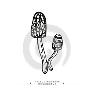 A group of toxic magical hallucinogenic mushrooms. Black and white drawing of psilocybin mushrooms. Vector illustration