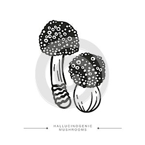 A group of toxic magical hallucinogenic mushrooms. Black and white drawing of psilocybin mushrooms. Vector illustration