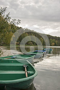 Group of traditional rowing boats moored to the pier