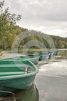 Group of traditional rowing boats moored to the pier