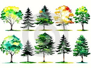 A group of trees in different colors, with their leaves changing from green to yellow, orange, and red.
