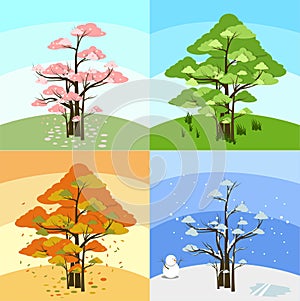 group of trees with four season trees in one vector, summer winter, autumn, fall, spring, and environment on it