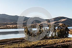 Group of Trees with Lake and Mountain in Chula Vista photo