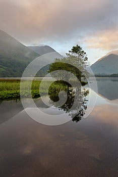 Group Of Trees Reflecting In A Calm Lake At Brotherswater In The Lake District, UK.