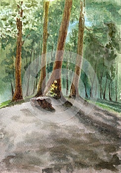 A group of trees and a stump in a clearing in the forest.. Hand drawn watercolors on paper textures. Raster