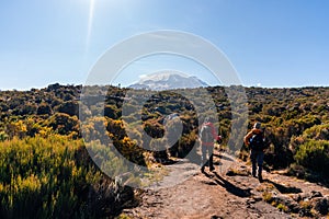 Group of trekkers hiking in Kilimanjaro photo