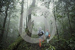 Group of Trekking in rainforest jungle. adventure and explorer