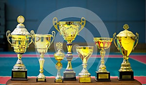 Group of trophies