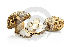 Fresh raw shiitake mushroom isolated on white