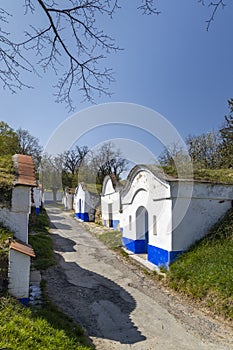 Group of typical outdoor wine cellars in Plze near Petrov, Southern Moravia, Czech Republic