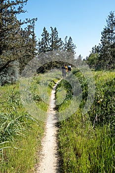 Group of unrecognised people walking outdoors in nature in spring. Healthy lifestyle. Hiking and exercising