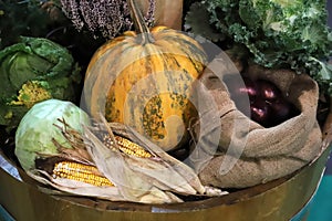 Group of various vegetables and fruits as an autumn background