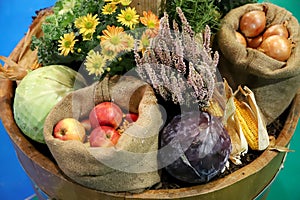 Group of various vegetables and fruits as an autumn background