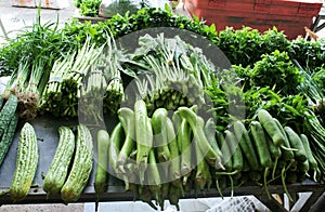 Group of vegetable on table in market