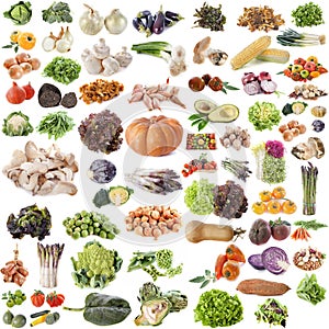 Group of vegetables