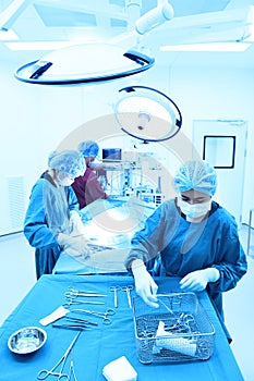 Group of veterinarian surgery in operation room