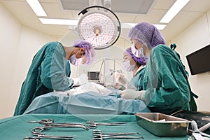 Group of veterinarian surgery in operation room