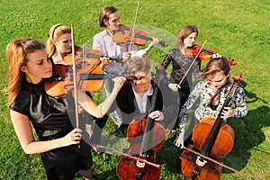 Gruppo da violinisti giocare in piedi sul erba 