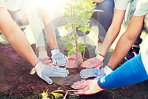 Group of volunteers hands planting tree in park