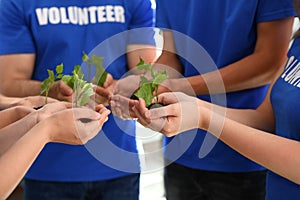 Group of volunteers holding soil with sprouts in hands outdoors