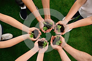 Group of volunteers holding soil with sprouts in hands outdoors