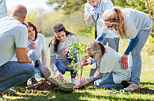 Group of volunteers planting tree in park