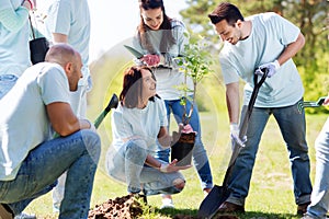 Group of volunteers planting tree in park