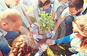 Group of volunteers planting tree in park