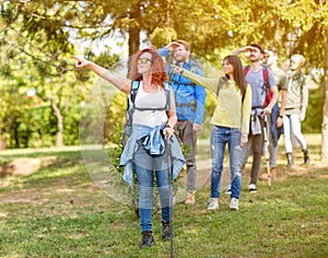 Group of walkers in forest pointing something