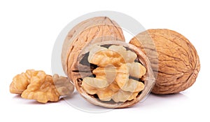 Group of wallnuts isolated on white background