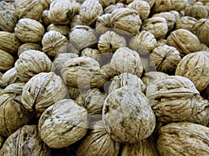 Group of Walnuts for the Holiday Season