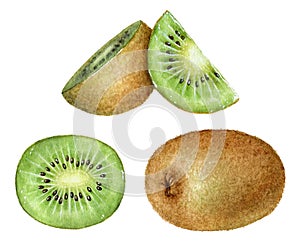 Group of watercolor kiwi fruits