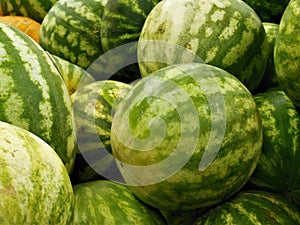 Group of Watermelons with a Bit of Pumpkin