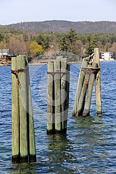 Group of weathered wood pilings in calm waters of lake