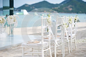 A group of white chiavari chairs on the beach wedding preparation, cones of roses petals - back side view photo