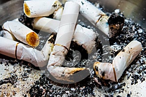 white cigarette butts in an ashtray