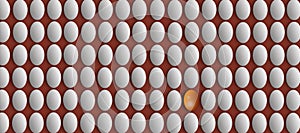 Group of white eggs with one different golden egg. think different conceptual image with eggs concept