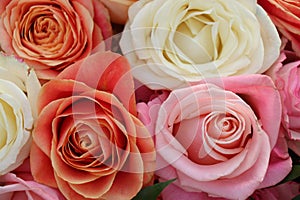 Group of white roses, wedding decorations